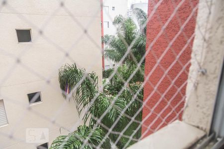 Vista Quarto 1 de apartamento para alugar com 2 quartos, 48m² em Vila Talarico, São Paulo