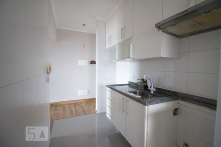 cozinha de apartamento para alugar com 3 quartos, 70m² em Vila Maria Alta, São Paulo