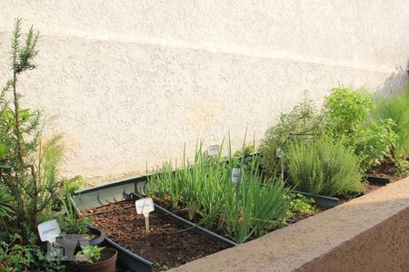 Apartamento para alugar com 130m², 4 quartos e 2 vagasÁrea comum - Horta