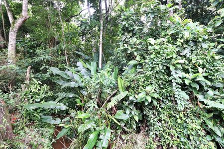 Casa de condomínio à venda com 105m², 3 quartos e sem vagaÁrea Externa