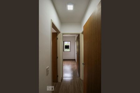 Corredor de apartamento para alugar com 2 quartos, 75m² em Cambuí, Campinas