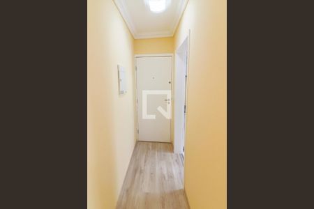 Corredor Entrada de apartamento à venda com 2 quartos, 66m² em Jardim Jussara, São Paulo