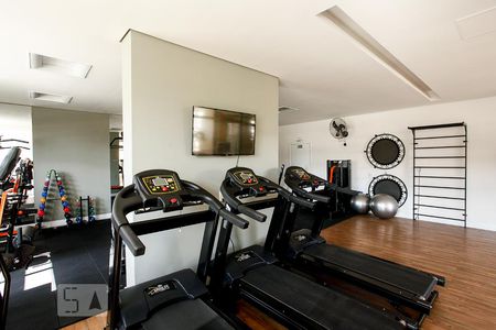 Apartamento para alugar com 56m², 2 quartos e 1 vaga Apartamento para alugar com 56m², 2 quartos e 1 vagaÁrea comum - Academia