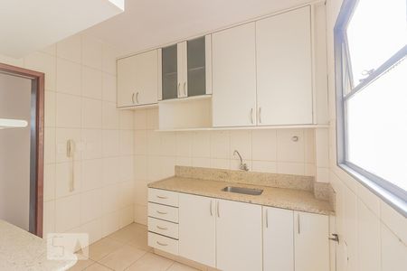 Cozinha de apartamento para alugar com 2 quartos, 99m² em Nova Suíssa, Belo Horizonte