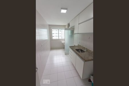 Apartamento à venda com 77m², 2 quartos e 1 vagaCozinha - Armários