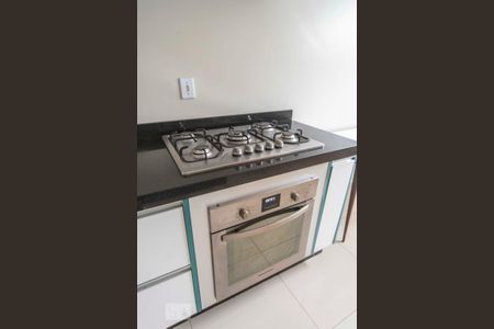 Fogão e Forno  de apartamento para alugar com 2 quartos, 112m² em Vila Alpina, Santo André