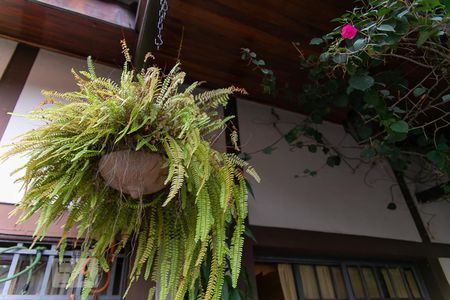 Casa à venda com 354m², 5 quartos e 3 vagasQuintal