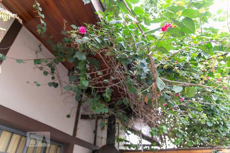 Casa à venda com 354m², 5 quartos e 3 vagasQuintal