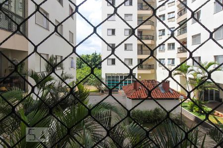 Varanda da Sala de apartamento à venda com 3 quartos, 67m² em Jardim Vila Formosa, São Paulo
