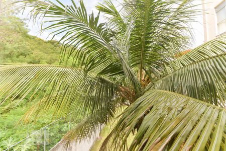 Apartamento à venda com 49m², 2 quartos e 1 vagaVista Quarto 2