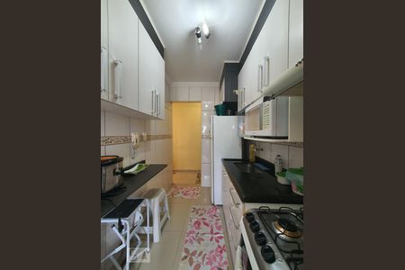 Cozinha  de apartamento para alugar com 2 quartos, 52m² em Vila Santa Teresa, São Paulo