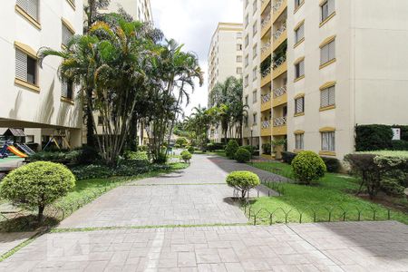Área comum de apartamento para alugar com 3 quartos, 67m² em Mooca, São Paulo