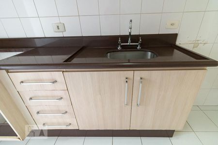 Apartamento para alugar com 61m², 2 quartos e 1 vagaCozinha - pia e armário