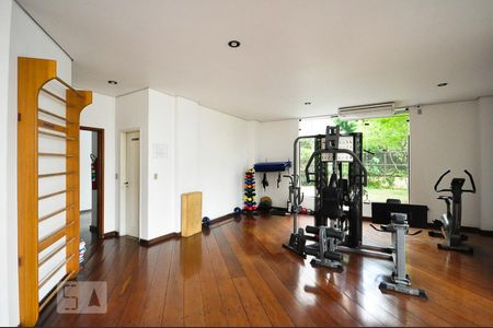 Academia de apartamento para alugar com 2 quartos, 70m² em Real Parque, São Paulo