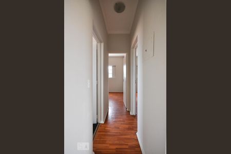 Corredor de apartamento para alugar com 2 quartos, 71m² em Jardim Paulistano, Campinas