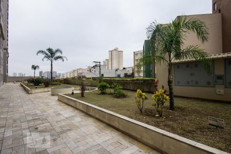 Apartamento para alugar com 52m², 2 quartos e 1 vaga Apartamento para alugar com 52m², 2 quartos e 1 vagaÁrea Externa