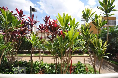 Vista da Sacada da Sala de apartamento para alugar com 2 quartos, 60m² em Vila Industrial, Campinas