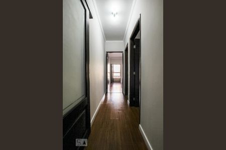 Corredor de apartamento para alugar com 3 quartos, 129m² em Cambuí, Campinas
