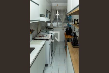 Apartamento para alugar com 55m², 2 quartos e 1 vagaCozinha - Armários