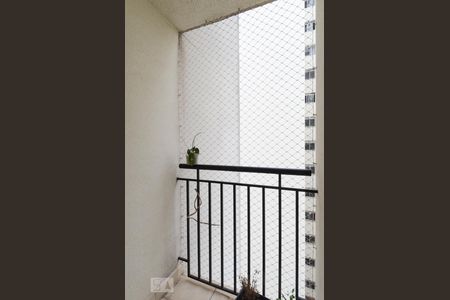 Varanda de apartamento para alugar com 2 quartos, 47m² em Nova Petrópolis, São Bernardo do Campo
