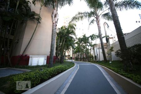 Apartamento à venda com 52m², 2 quartos e 1 vagaÁrea Comum