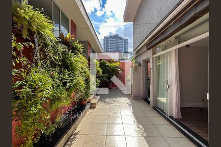 Quintal de casa para alugar com 3 quartos, 191m² em Jardim Santo Amaro, São Paulo