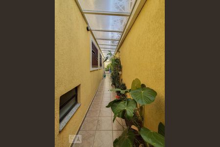 Corredor externo  de casa à venda com 3 quartos, 180m² em Vila Marte, São Paulo