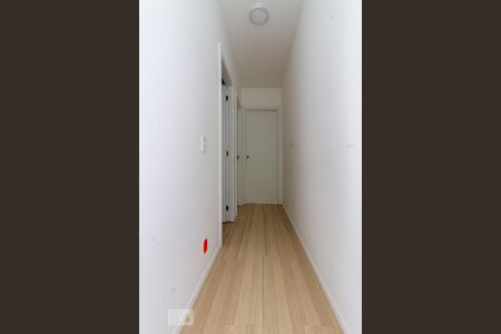 Corredor de apartamento para alugar com 2 quartos, 47m² em Itaquera, São Paulo