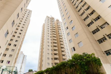 Apartamento para alugar com 63m², 3 quartos e 1 vagaFachada