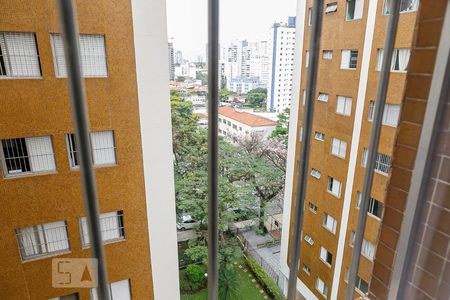 Apartamento para alugar com 66m², 2 quartos e 1 vaga Apartamento para alugar com 66m², 2 quartos e 1 vagaVista do Quarto 2