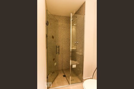 Banheiro de apartamento para alugar com 2 quartos, 68m² em Cambuci, São Paulo