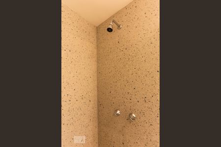 Banheiro de apartamento para alugar com 2 quartos, 68m² em Cambuci, São Paulo