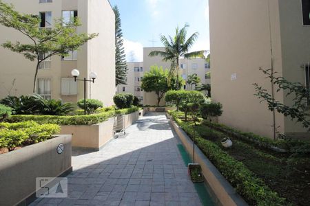 Área comum de apartamento para alugar com 2 quartos, 50m² em Jardim Felicidade (zona Oeste), São Paulo