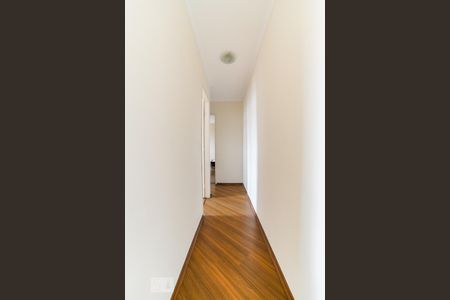 Corredor de apartamento para alugar com 2 quartos, 58m² em Vila Guilherme, São Paulo