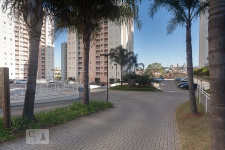 Apartamento para alugar com 62m², 2 quartos e 1 vagaDependências do condominio