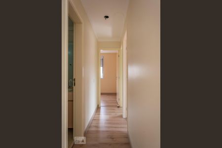 Corredor dos quartos de apartamento para alugar com 3 quartos, 60m² em Mooca, São Paulo