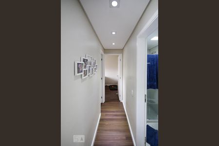 corredor de apartamento para alugar com 2 quartos, 45m² em Belenzinho, São Paulo