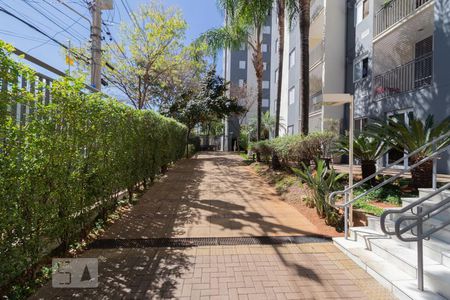 Apartamento para alugar com 65m², 2 quartos e 1 vaga Apartamento para alugar com 65m², 2 quartos e 1 vagaÁrea comum