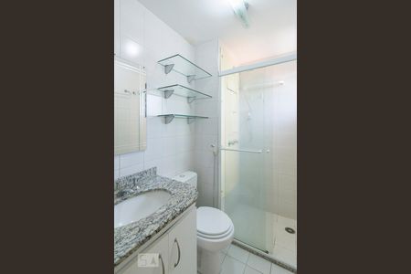 Banheiro de apartamento para alugar com 2 quartos, 58m² em Jardim Bonfiglioli, São Paulo