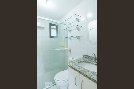 Banheiro de apartamento para alugar com 2 quartos, 58m² em Jardim Bonfiglioli, São Paulo