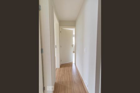 Corredor de apartamento para alugar com 3 quartos, 100m² em Vila Izabel, Curitiba