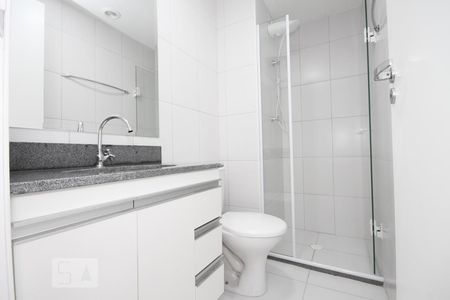 Banheiro de apartamento para alugar com 2 quartos, 33m² em Cambuci, São Paulo
