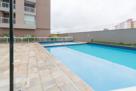 Piscina de apartamento à venda com 2 quartos, 49m² em Jardim Roberto, Osasco