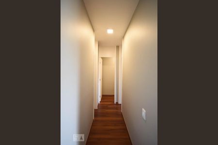 Corredor de apartamento para alugar com 2 quartos, 54m² em Jardim Caboré, São Paulo