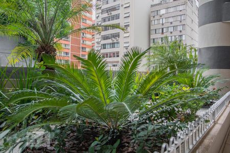 Apartamento para alugar com 27m², 1 quarto e sem vagaÁrea comum