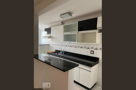 cozinha de apartamento para alugar com 2 quartos, 55m² em São Bernardo, Campinas