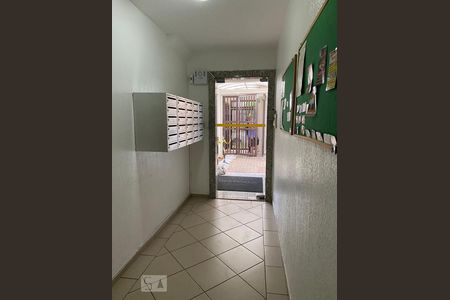 hall de entrada de apartamento para alugar com 2 quartos, 55m² em São Bernardo, Campinas