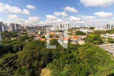 Vista Varanda gourmet de apartamento para alugar com 2 quartos, 60m² em Vila Sonia , São Paulo