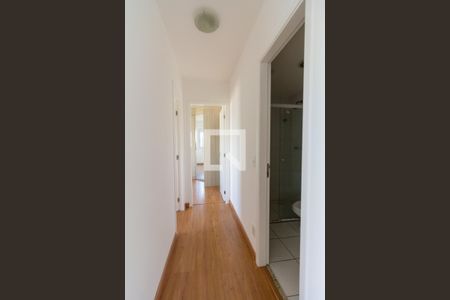 Corredor Quartos de apartamento para alugar com 2 quartos, 60m² em Vila Sonia , São Paulo