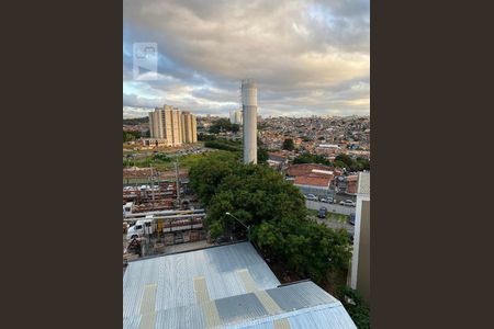 Vista do Quarto de apartamento para alugar com 2 quartos, 44m² em Padroeira, Osasco